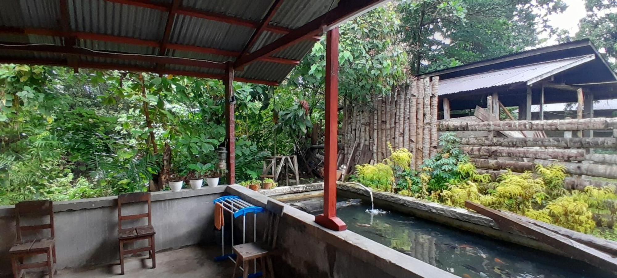 Renny'S Tangkoko Safety Stop Bitung Exterior photo